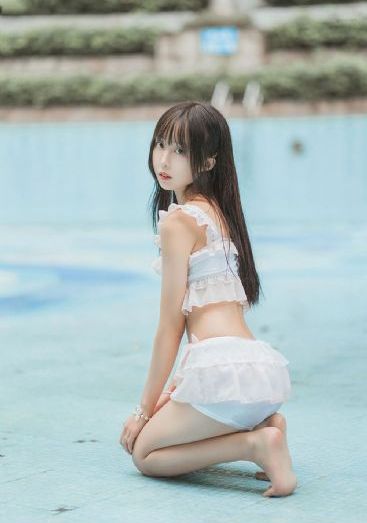 食物链完整版