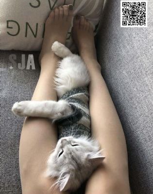 一区www