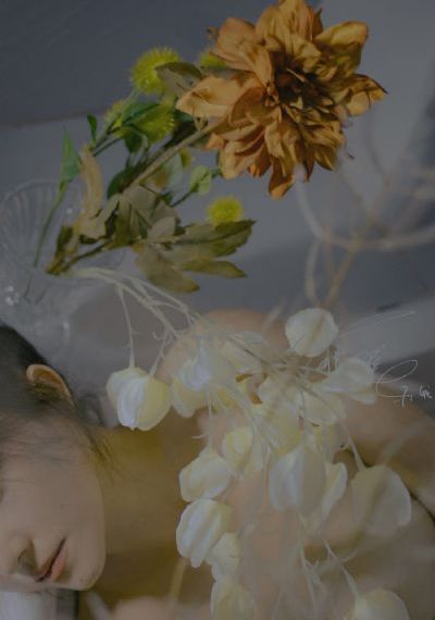 717电影网good理论片hd