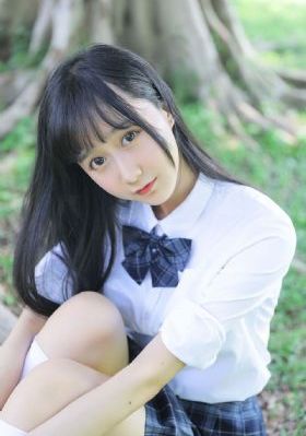 红色骆驼